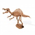 Набор для проведения раскопок Dr.Steve – Спинозавр  - миниатюра №1